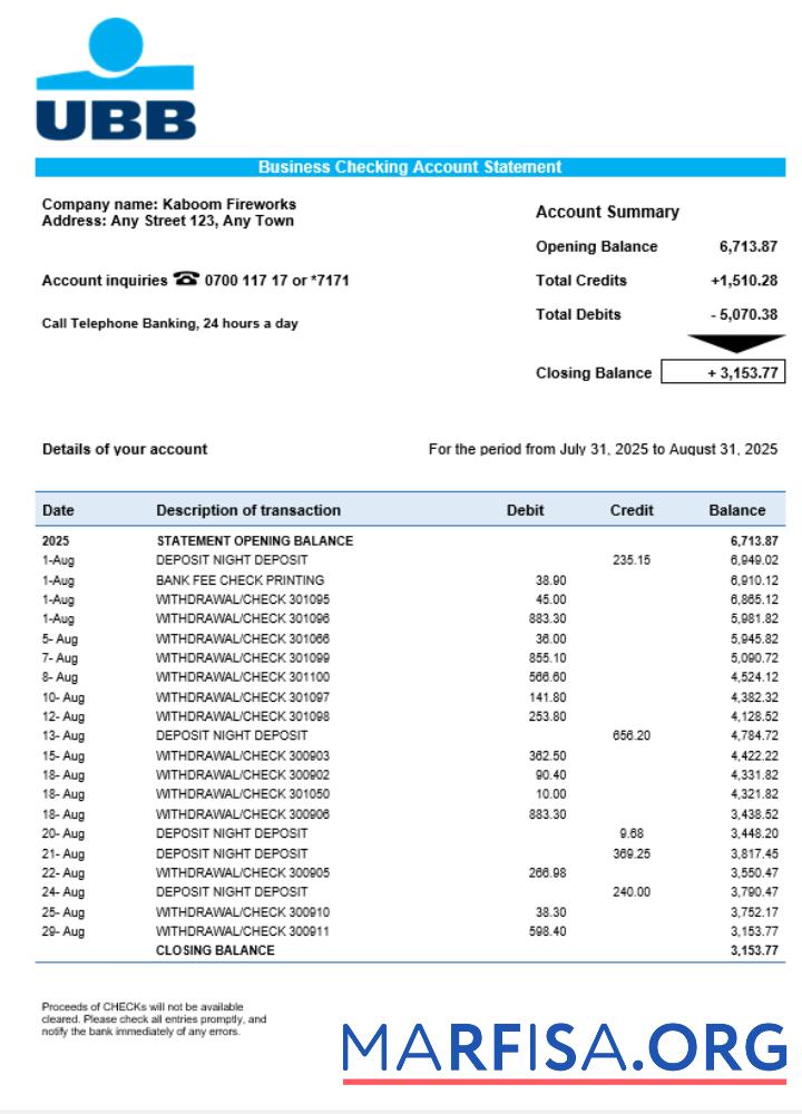 Downloadable UBB business firm statement Word and PDF format sample